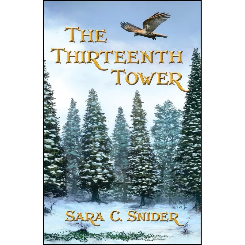 کتاب The Thirteenth Tower  اثر Sara C. Snider انتشارات Double Beast Publishing