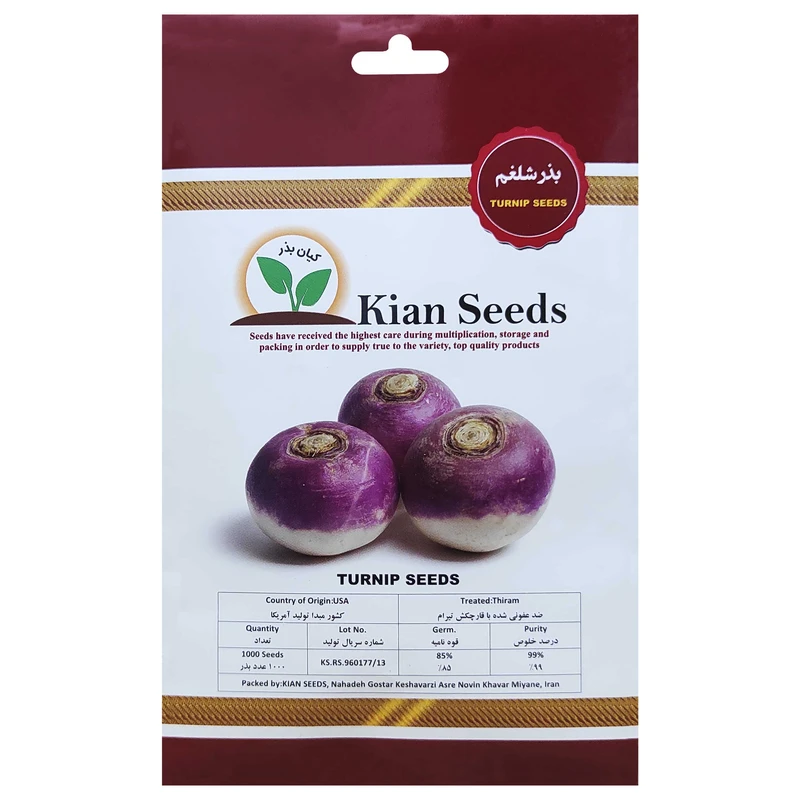 بذر شلغم کیان بذر کد KBZ-27