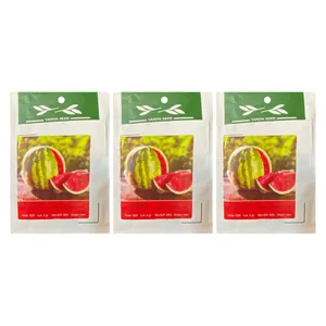 بذر هندوانه کریمسون وانیا مدل Watermelon Crimson sweet بسته 3 عددی