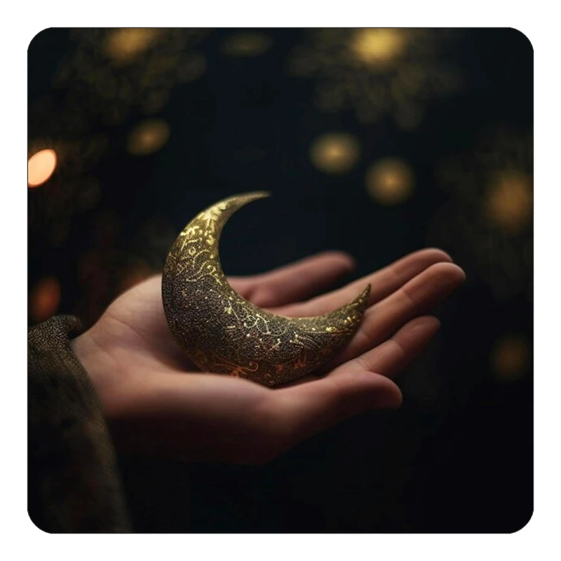 مگنت کاکتی طرح ماه و ستاره مدل mp52792