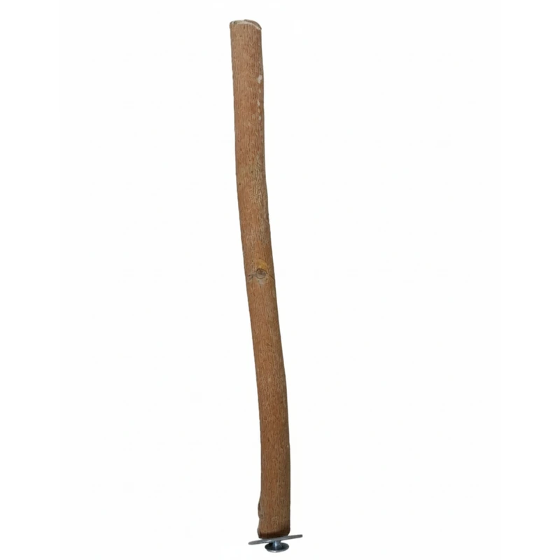 نشیمنگاه پرندگان مدل صاف