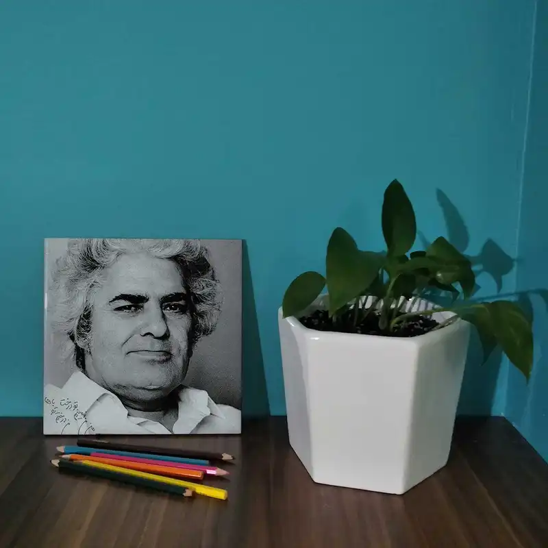 کاشی کارنیلا طرح احمد شاملو کد wk264