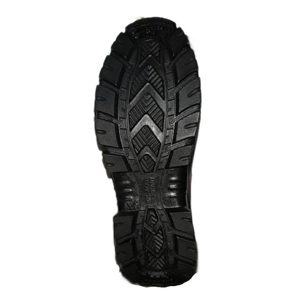 پوتین ایمنی  ایمن میلان مدل شوکتیان