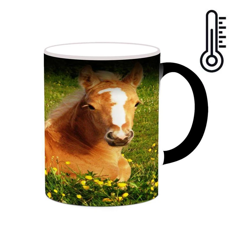 ماگ حرارتی کاکتی مدل اسب کد mgh24216