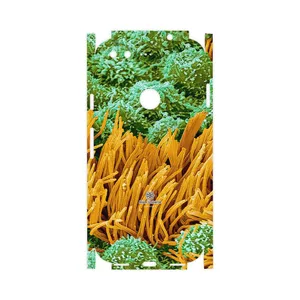 MAHOOT Atom Universe 6-FullSkin Cover Sticker for Google Pixel