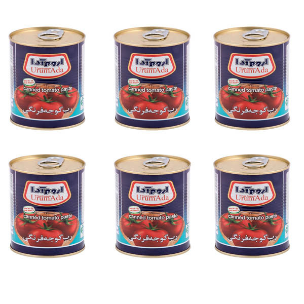 کنسرو رب گوجه فرنگی اروم آدا - 800 گرم بسته 6 عددی