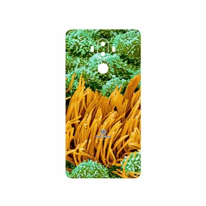 MAHOOT Atom Universe 6 Cover Sticker for Huawei Mate 9