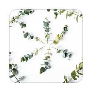 زیر لیوانی کاکتی طرح گل مدل mp19165