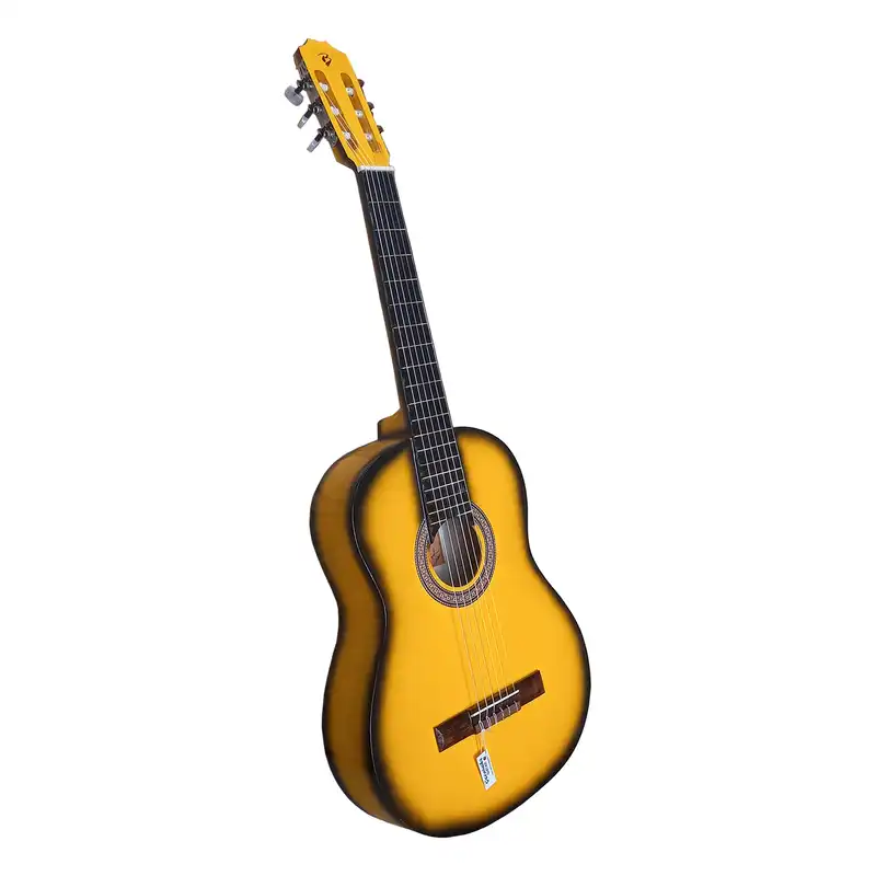 گیتار مدل B4 کد 10