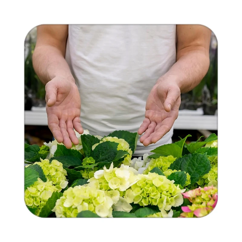 زیر لیوانی کاکتی طرح گل مدل mp17998