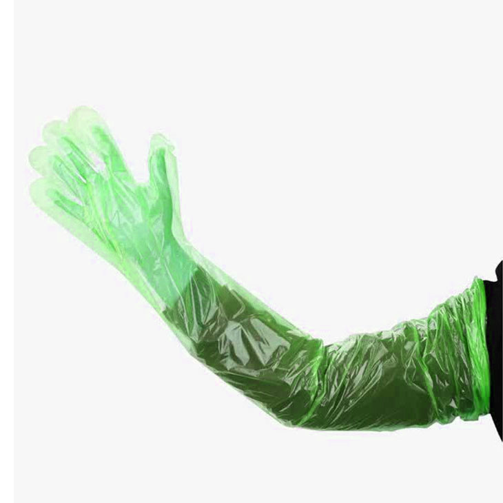 دستکش باغبانی کاسنر مدل ساقه بلند بسته 100 عددی دستکش باغبانی کاسنر مدل ساقه بلند بسته 100 عددی