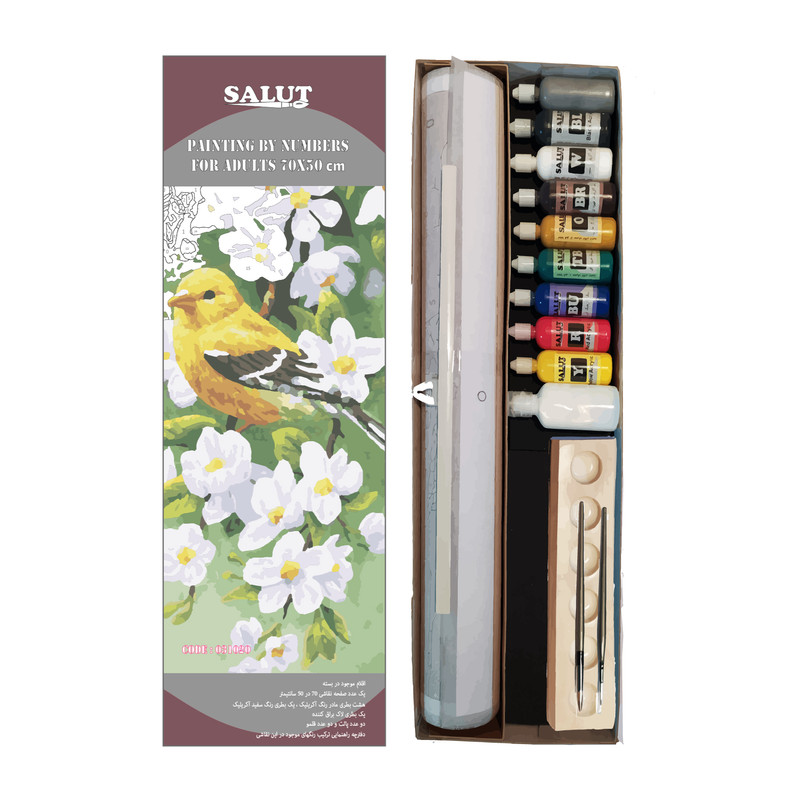 بسته رنگ آمیزی سالوت مدل آکرولیک کد 031020 مجموعه 18 عددی