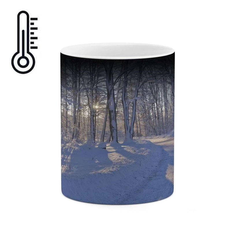 ماگ حرارتی کاکتی مدل منظره برفی کد mgh15015