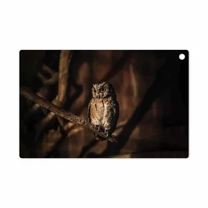 MAHOOT Owl Cover Sticker for Sony Xperia Z2 Tablet LTE 2014