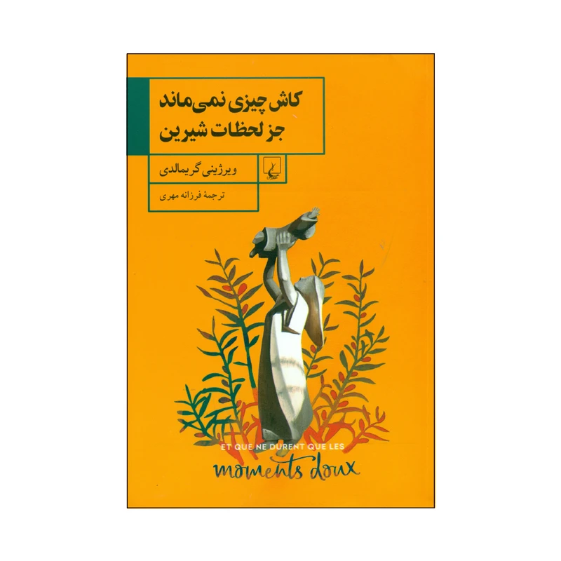 کتاب کاش چیزی نمی ماند جز لحظات شیرین اثر ویرژینی گریمالدی نشر ققنوس 