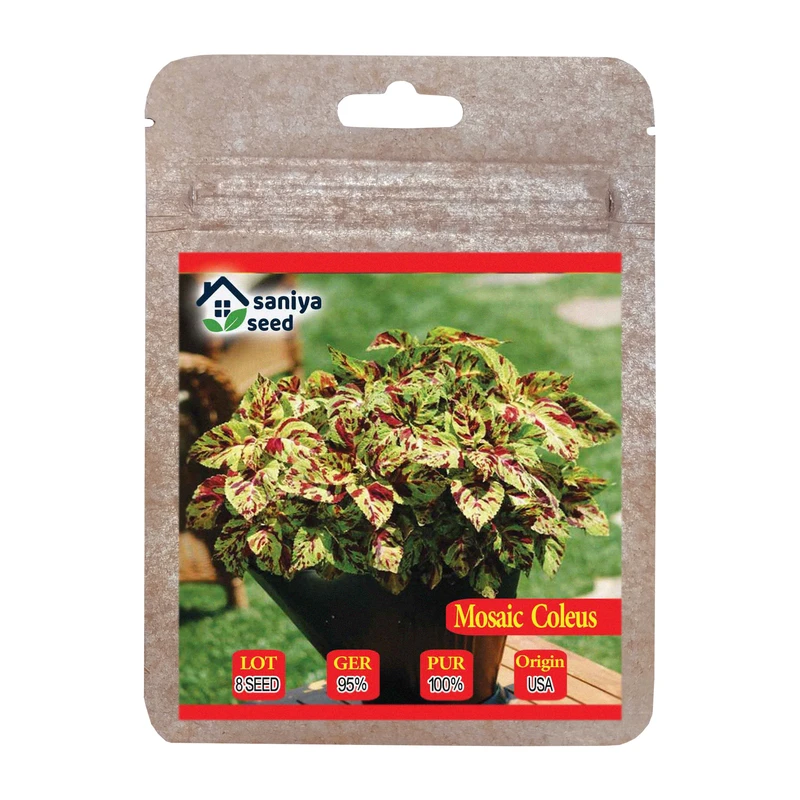 بذر گل حسن یوسف موزائیک سانیا سید مدل SS59