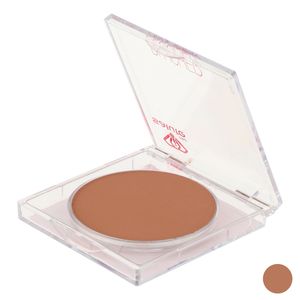 رژ گونه سالوته پرو کد 430