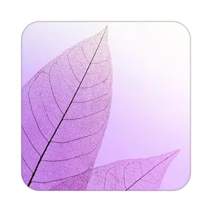 زیر لیوانی کاکتی طرح گل مدل mp17331