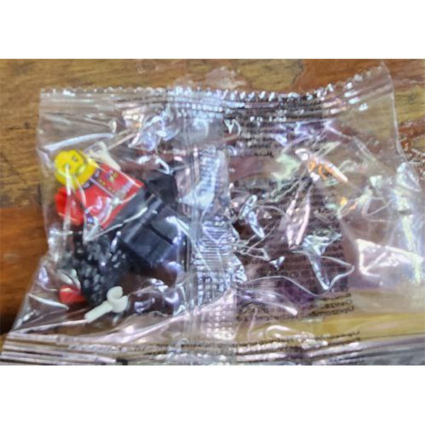 ساختنی مدل Royal Guard