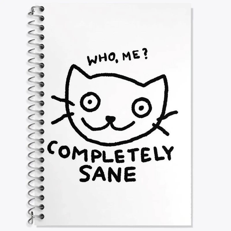 دفتر زبان 50 برگ خندالو مدل دو خط طرح گربه دیوانه کد 29285