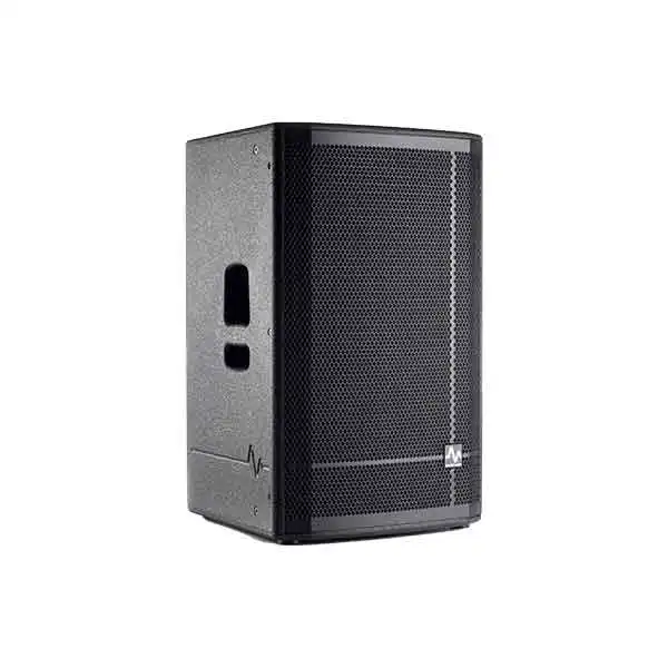 بلندگو پسیو آوا مدل P152-V2