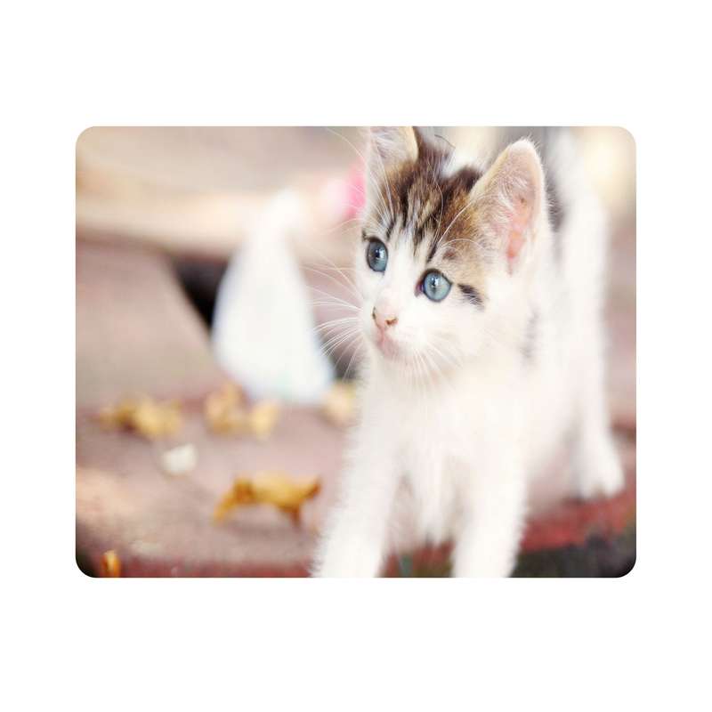 ماوس پد اطلس آبی  طرح گربه  مدل T7965