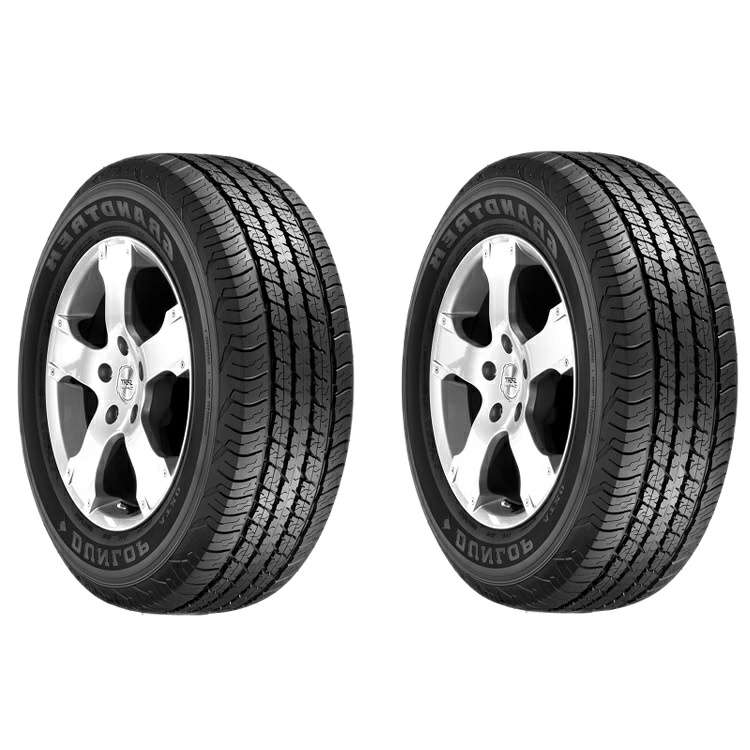 لاستیک خودرو دانلوپ تایر مدل GRANDTREK AT20 سایز 265/65R17 - دو حلقه