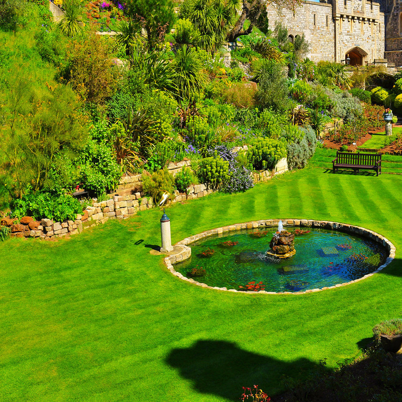 بذر چمن سانیا سید مدل ss7 بذر چمن سانیا سید مدل ss7