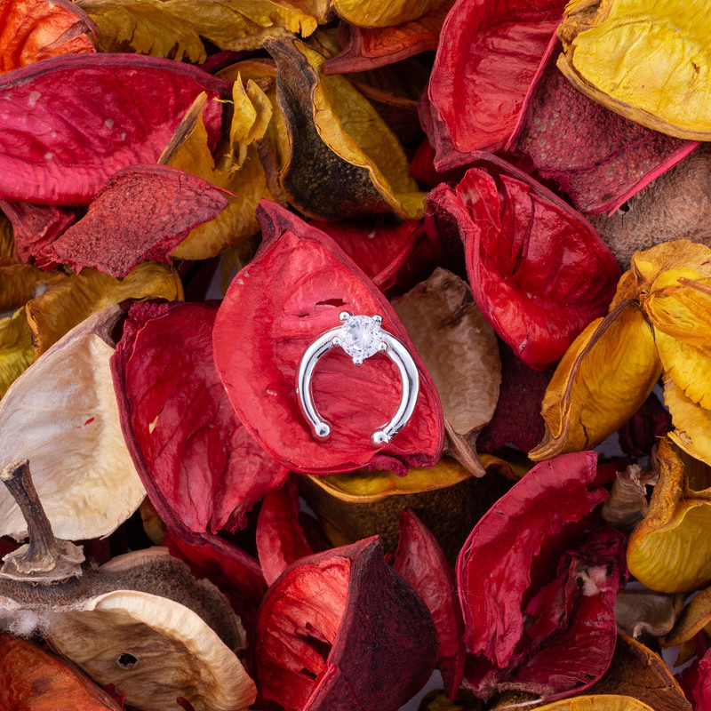 پیرسینگ نقره زنانه مدل AVN_P010