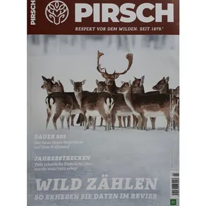 مجله PIRSCH فوریه 2024