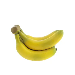 میوه تزیینی هومز مدل موز