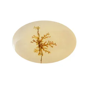 سنگ شجر پارلا گوهر کد 4077