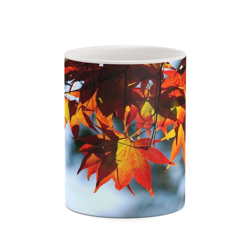 ماگ کاکتی مدل پاییز کد mgh19315