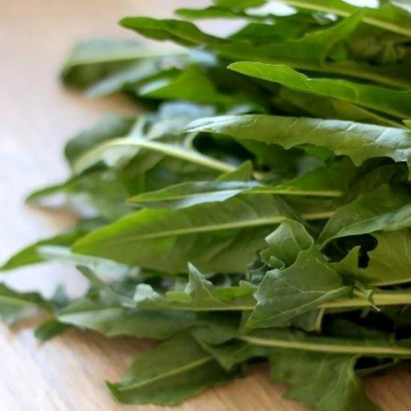 دمنوش برگ کاسنی ممتاز باباگلی -  45 گرم