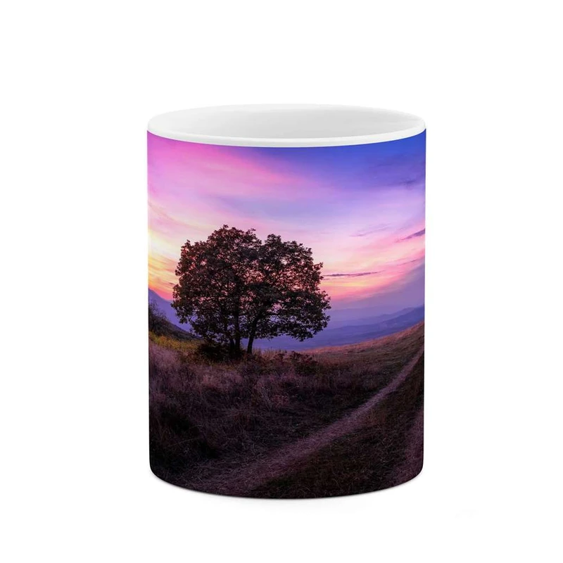 ماگ کاکتی مدل منظره کد mgh13111