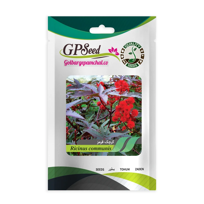 بذر گل کرچک گلبرگ پامچال کد GPF-068