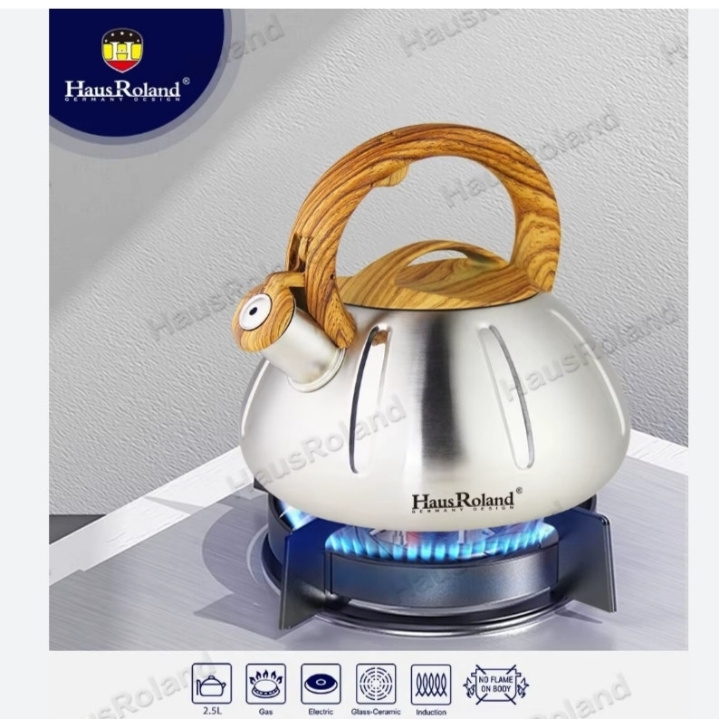 کتری استیل هاوس رولند مدل HR734-1 گنجایش 3 لیتر