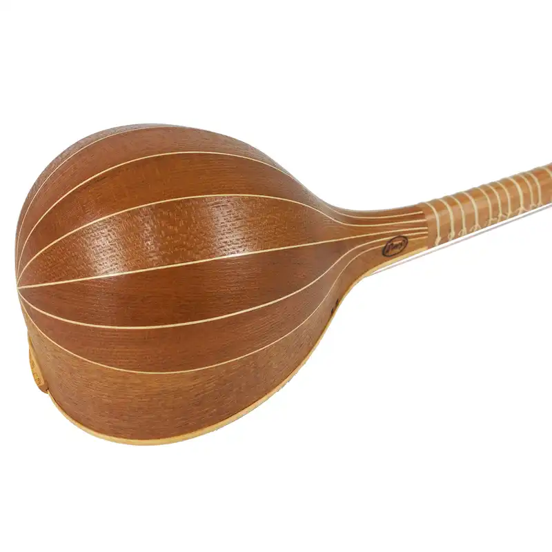 سه تار علی سواری مدل مهدیس