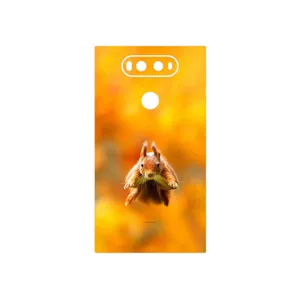 MAHOOT Squirrel Cover Sticker for LG V20