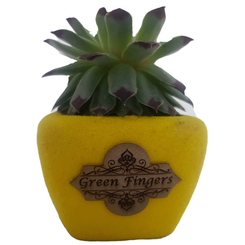 گیاه طبیعی سمپریوم لب ماتیکی مدل 2022161