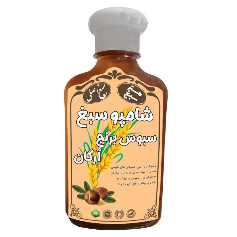شامپو تقویت کننده و ترمیم کننده مو سبغ مدل سبوس برنج و آرگان مناسب برای انواع مو حجم 250 میلی لیتر