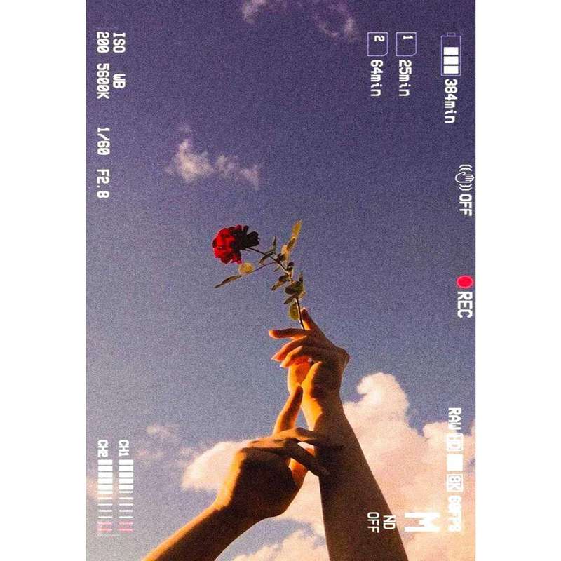 کارت پستال دریان طرح Rose مدل 0121