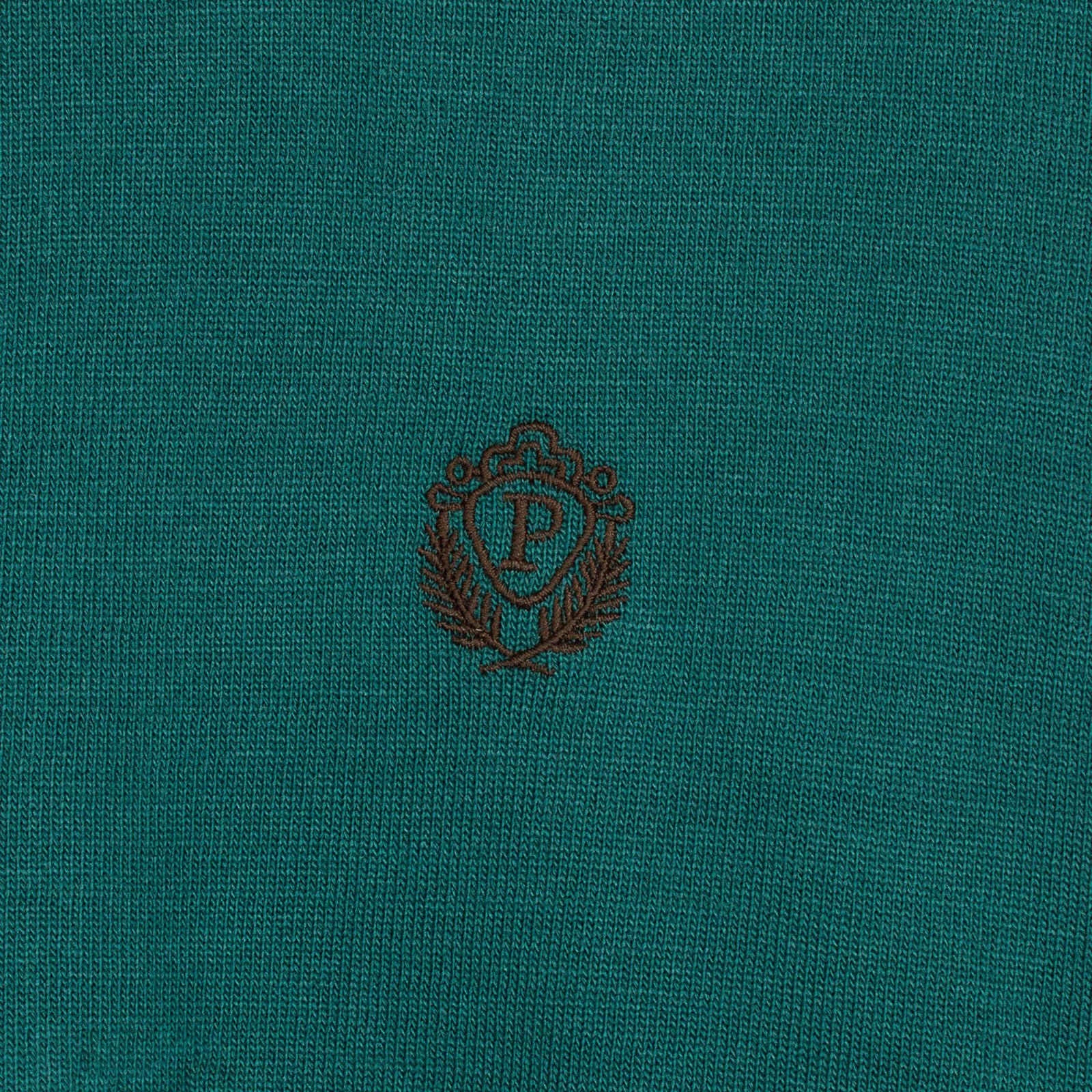 پلیور یقه گرد مردانه تریکو پاییزان مدل  PR700 -  - 25