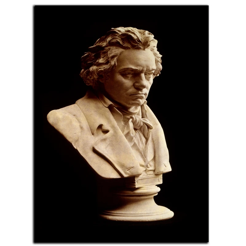 تابلو شاسی بکلیت طرح مشاهیر موسیقی بتهوون مدل SH-6025