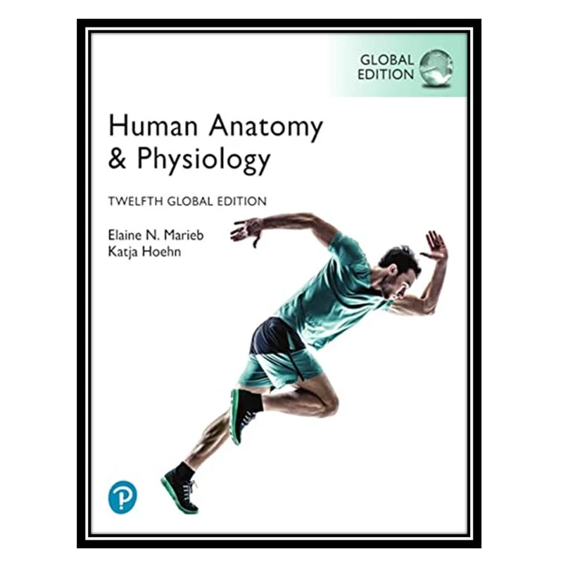 کتاب Human Anatomy And Physiology, Global Edition اثر Elaine N Marieb, Katja N. Hoehn انتشارات مؤلفین طلایی