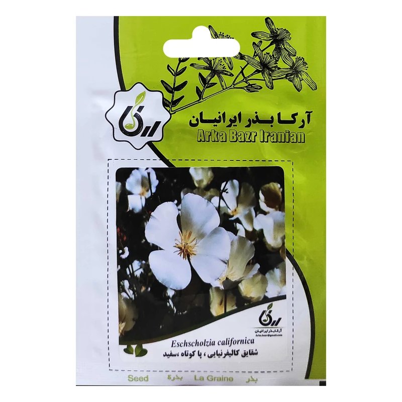  بذر شقایق کالیفرنیایی پاکوتاه سفید آرکا بذر ایرانیان کد ARK-034