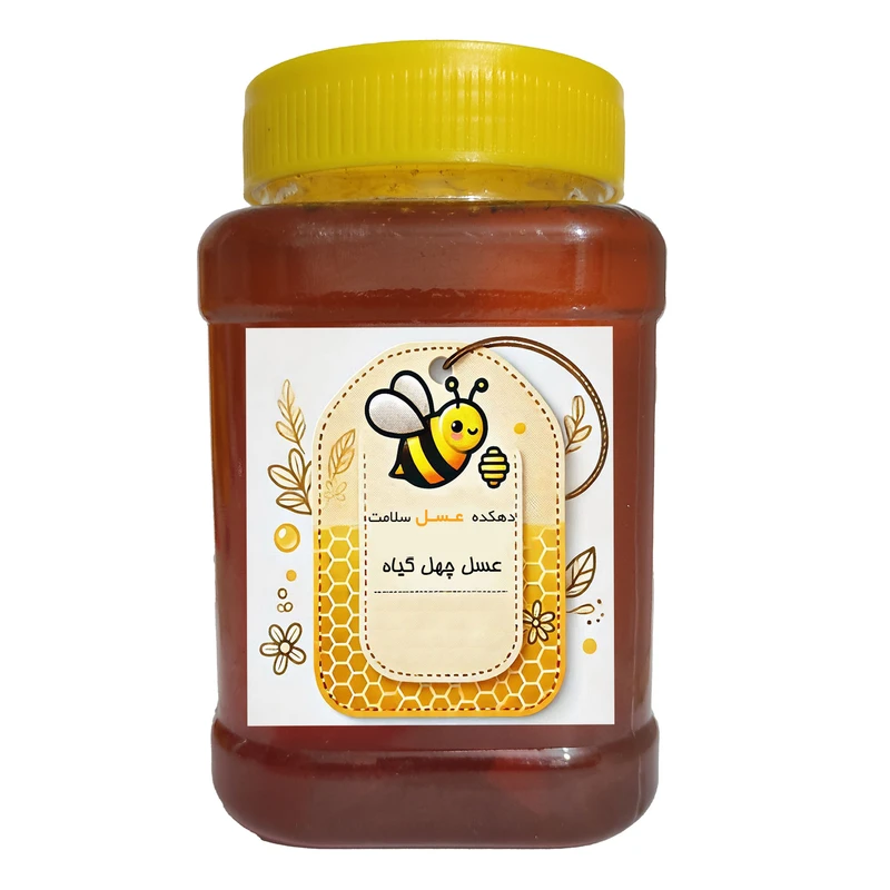 عسل چهل گیاه طبیعی دینا - 1 کیلوگرم