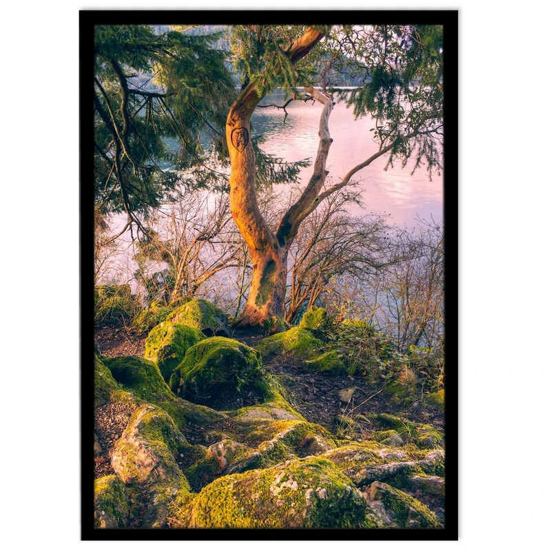 تابلو نوری بکلیت طرح طبیعت جنگل مدل B-14610