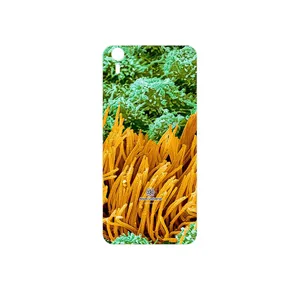 MAHOOT Atom Universe 6 Cover Sticker for HTC Desire Eye