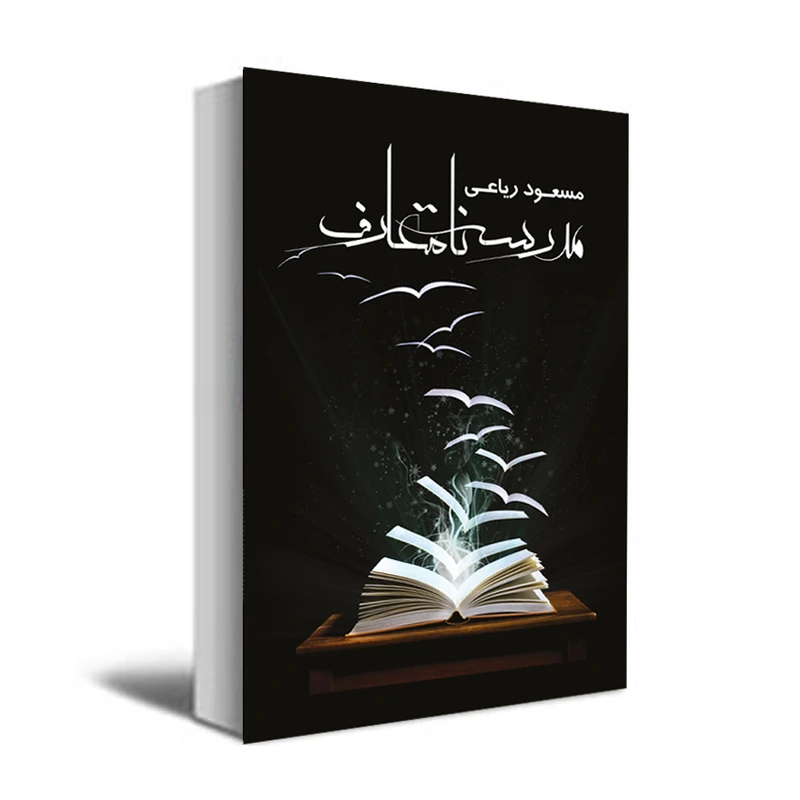 کتاب مدرسه نامتعارف اثر مسعود ریاعی انتشارات عصر کنکاش